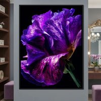 Violet Petal Radiance Macro Canvas Wall Art