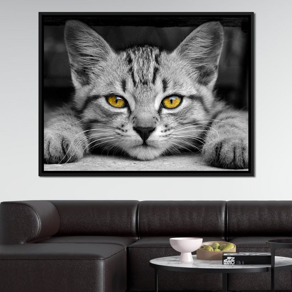 Black & White Cat with Yellow Eyes Canvas Wall Art