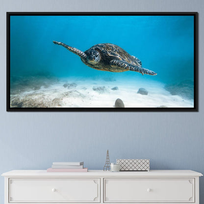 Blue Turtle Canvas Wall Art