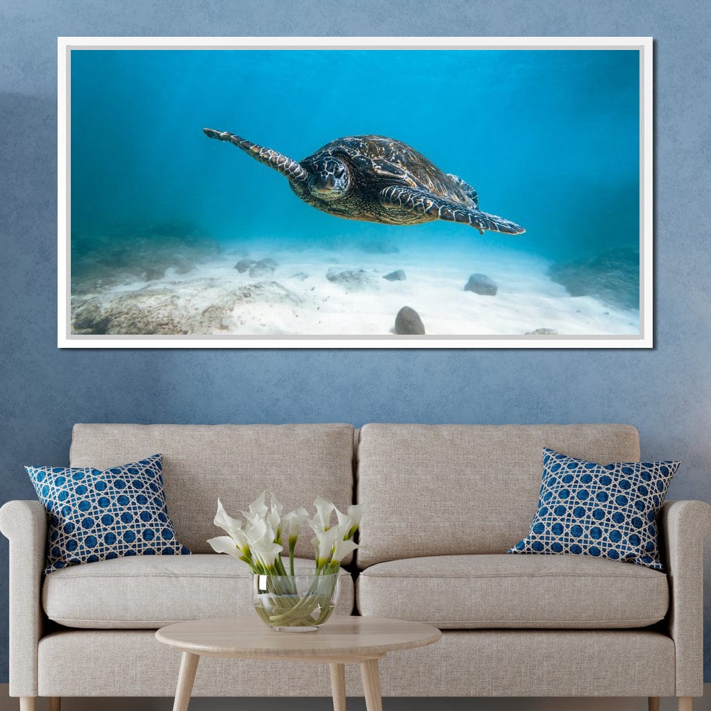 Blue Turtle Canvas Wall Art