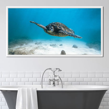 Blue Turtle Canvas Wall Art