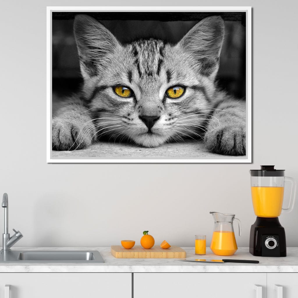 Black & White Cat with Yellow Eyes Canvas Wall Art