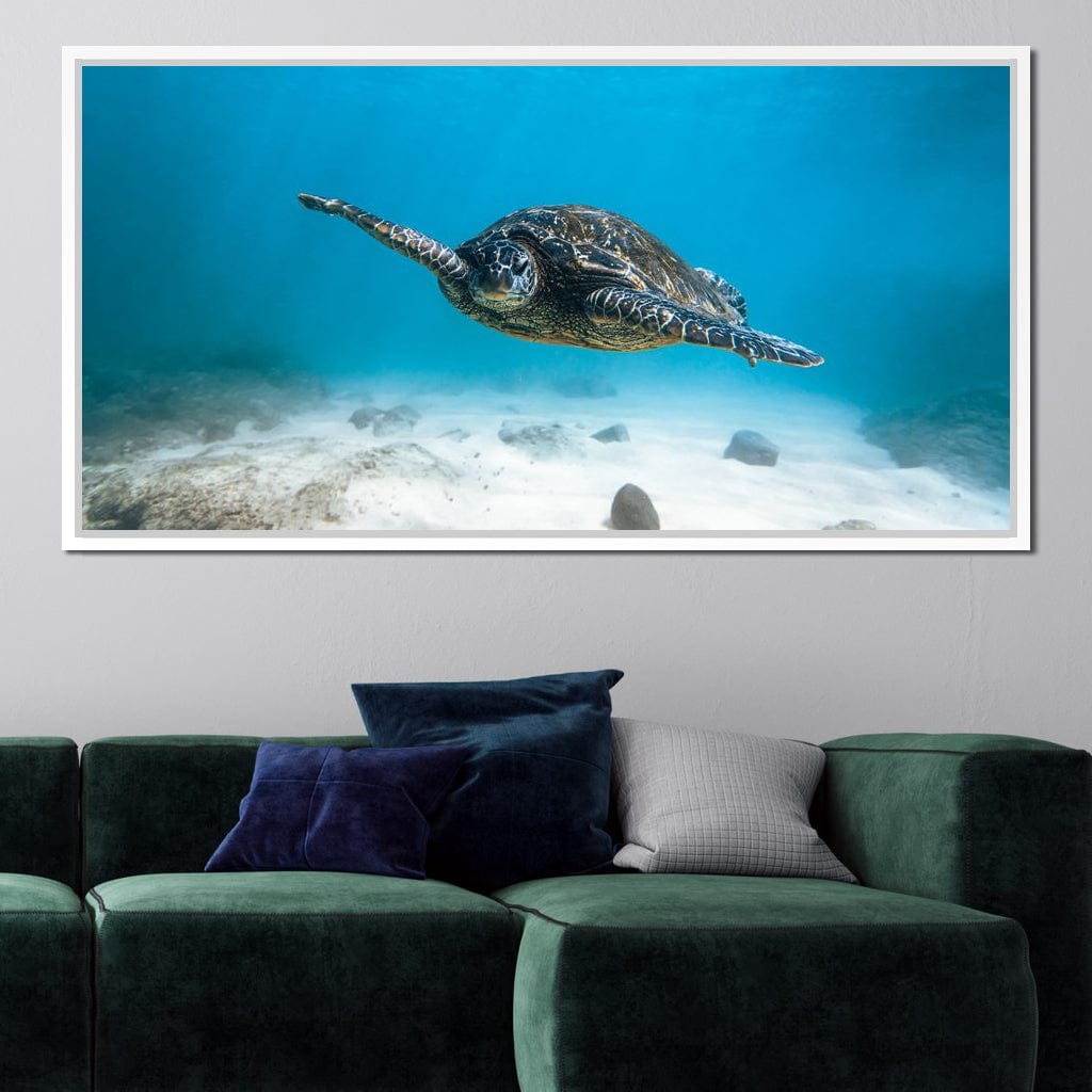 Blue Turtle Canvas Wall Art