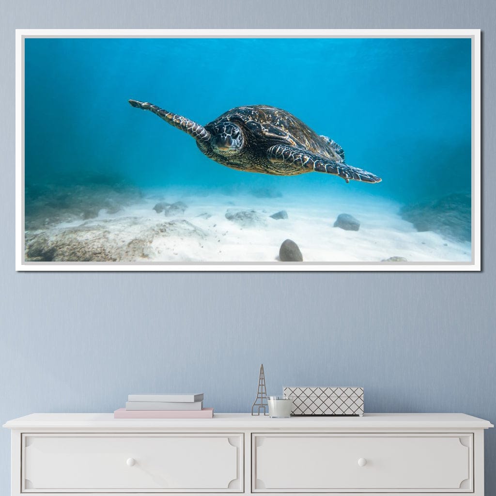 Blue Turtle Canvas Wall Art
