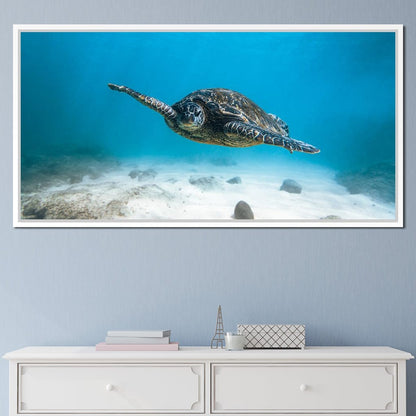 Blue Turtle Canvas Wall Art