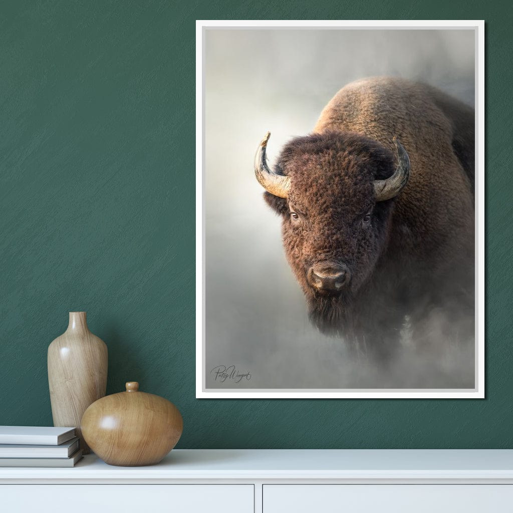 Bison 1 Canvas Wall Art
