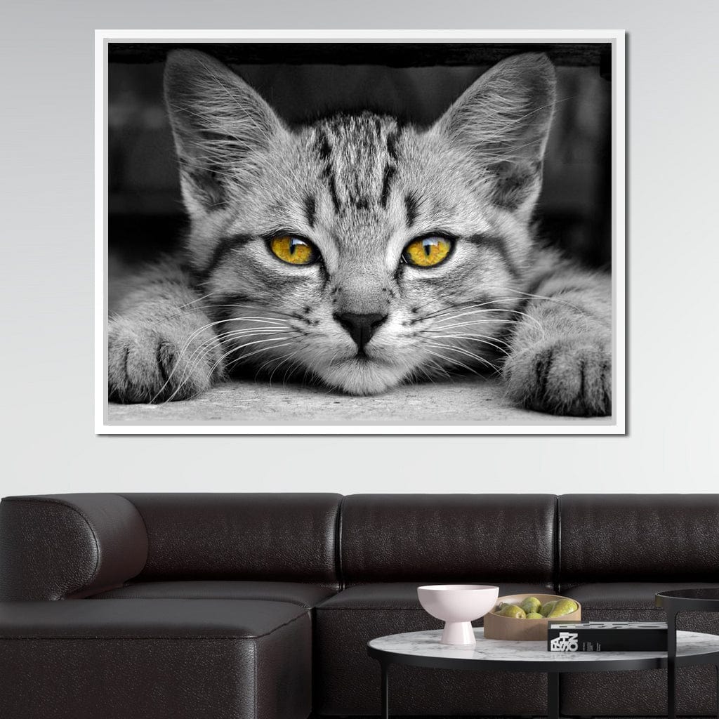 Black & White Cat with Yellow Eyes Canvas Wall Art