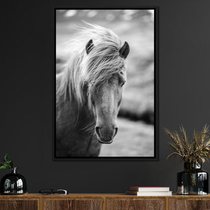 Icelandic Horse Canvas Wall Art