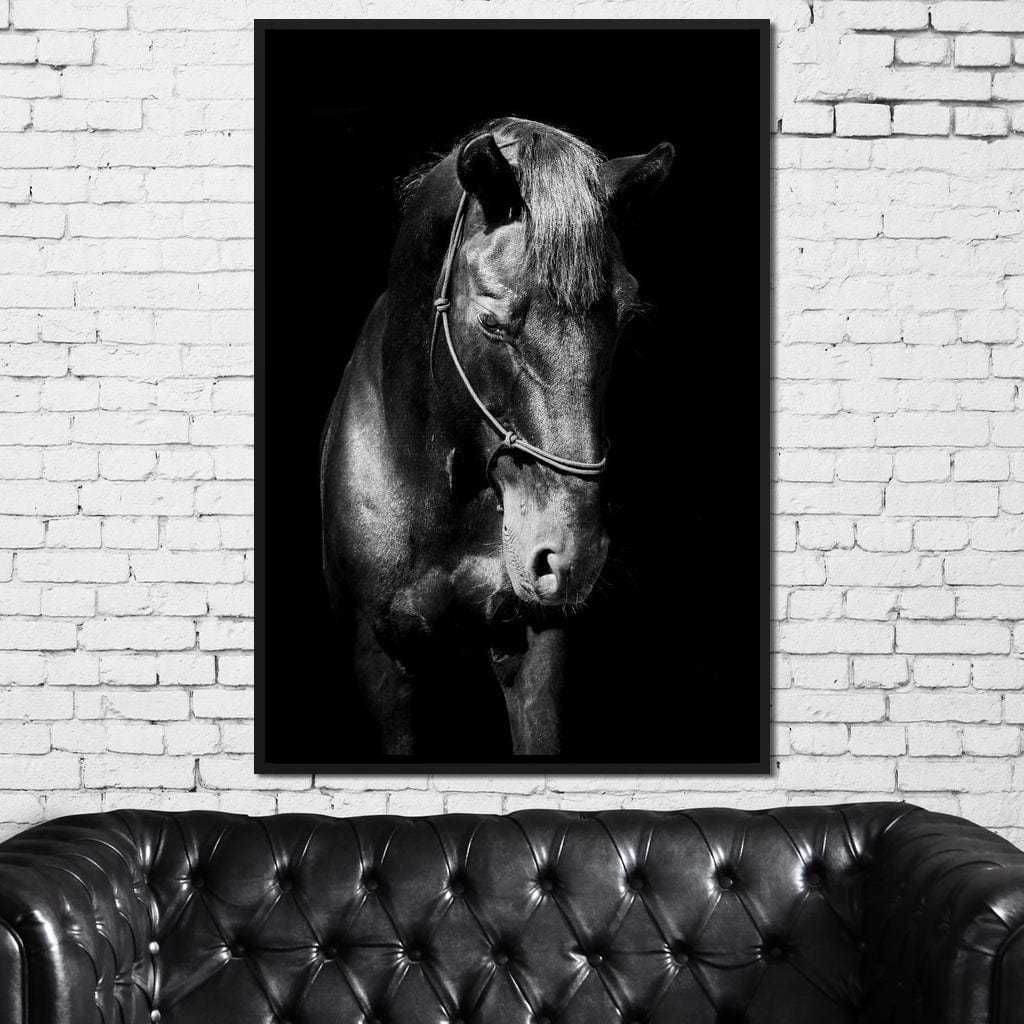 Black & White Horse Head Canvas Wall Art