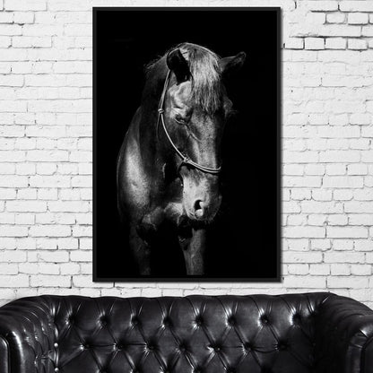Black & White Horse Head Canvas Wall Art