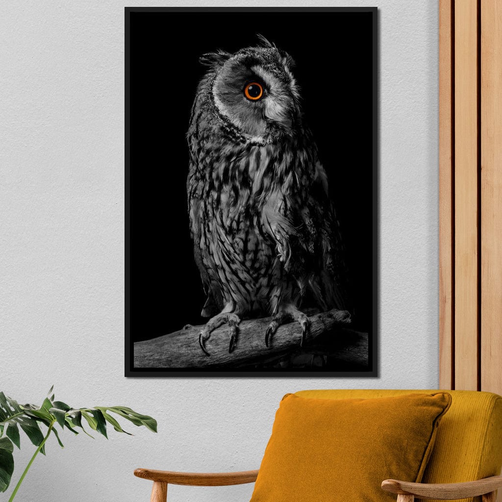 Black & White Owl Canvas Wall Art