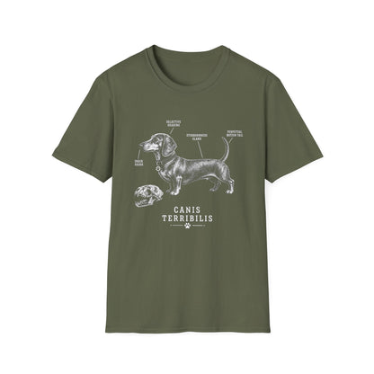 Anatomy Of A Dachshund Tee