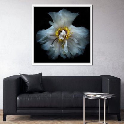 Backyard Flowers Series 4 Canvas Wall Art