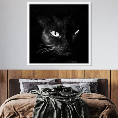Black and White Cat Canvas Wall Art