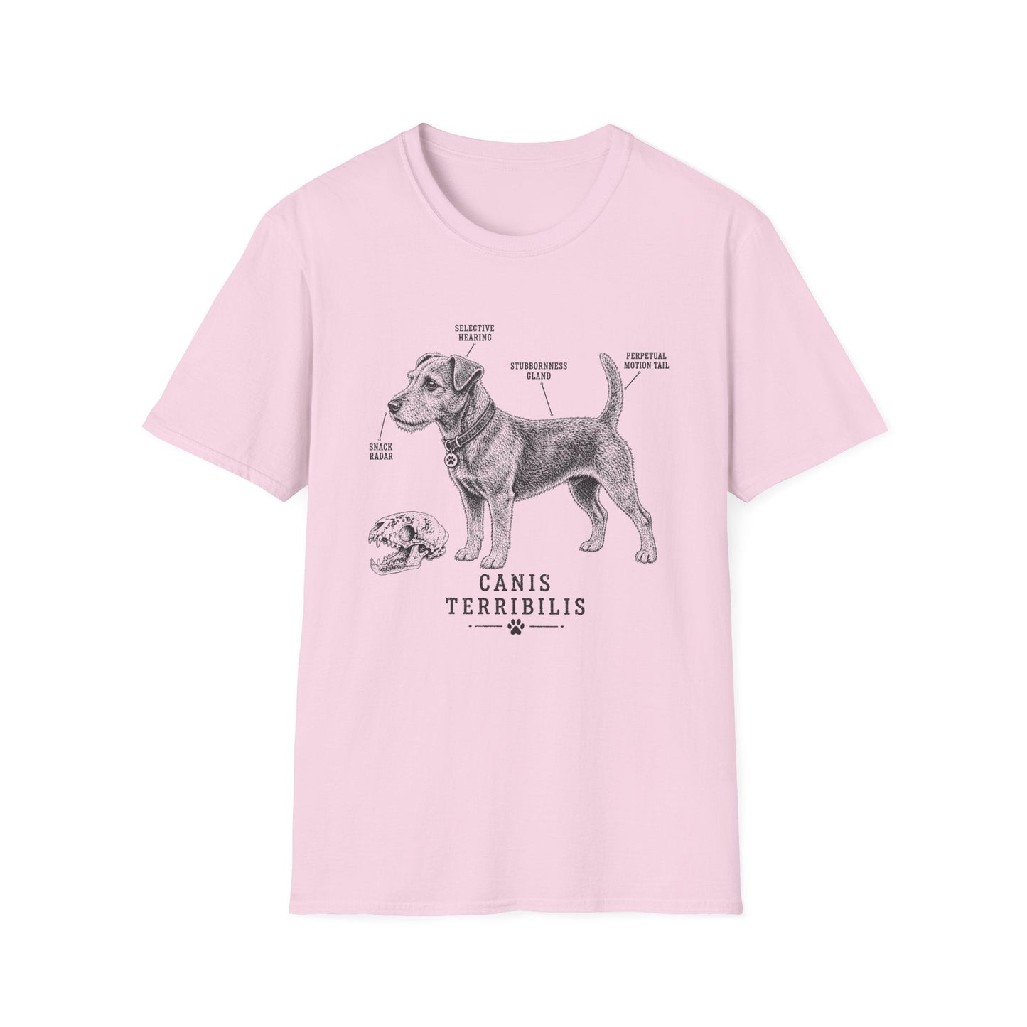 Anatomy Of A Patterdale Terrier Tee