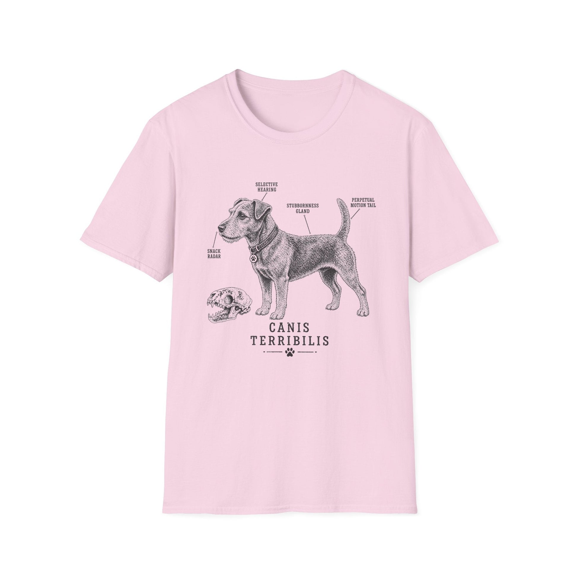 Anatomy Of A Patterdale Terrier Tee