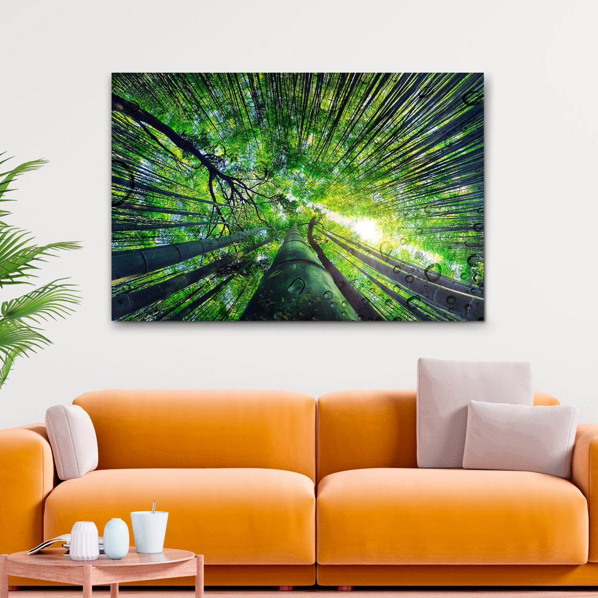 Light Through Bamboo Forest Canvas Wall Art