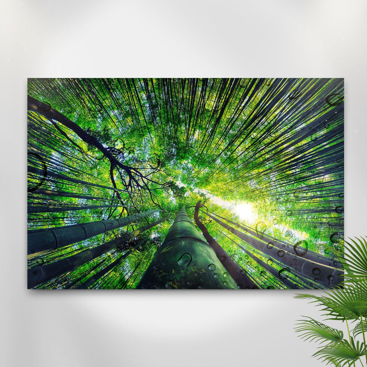 Light Through Bamboo Forest Canvas Wall Art