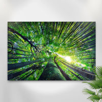 Light Through Bamboo Forest Canvas Wall Art