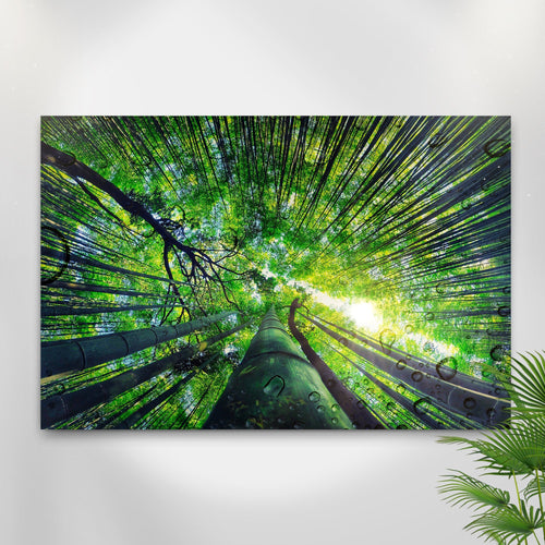Light Through Bamboo Forest Canvas Wall Art