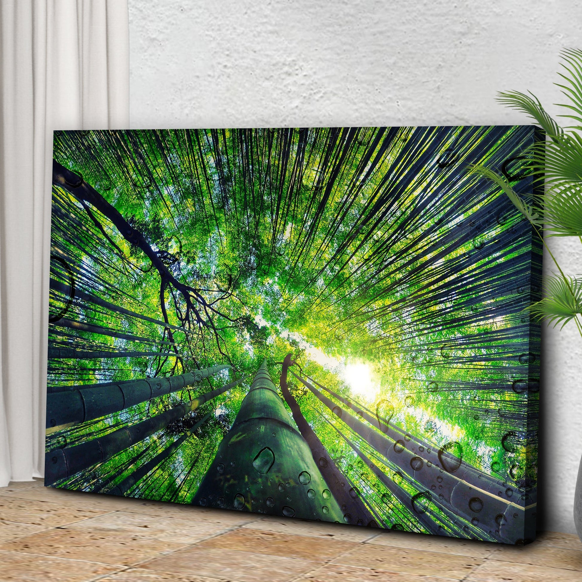 Light Through Bamboo Forest Canvas Wall Art