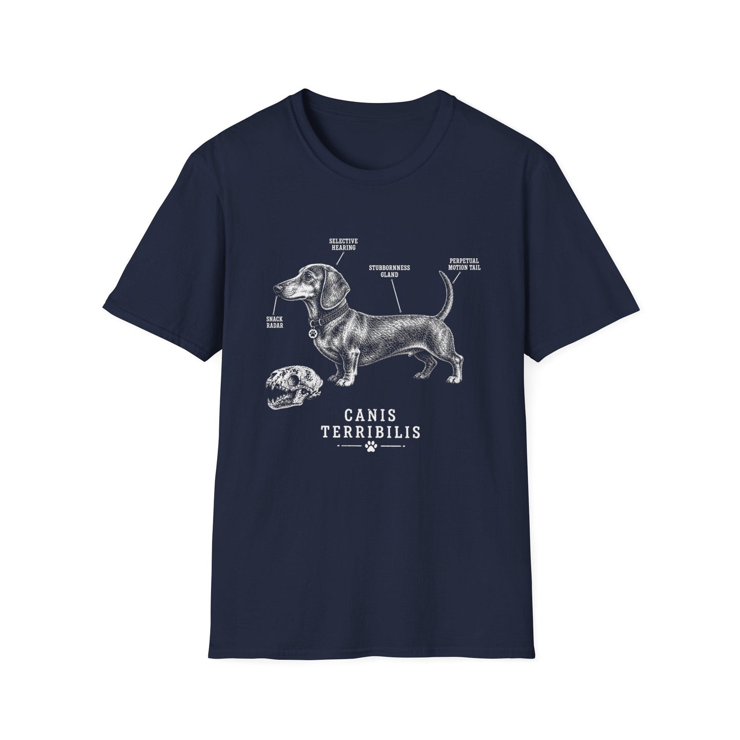 Anatomy Of A Dachshund Tee