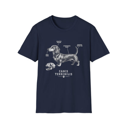 Anatomy Of A Dachshund Tee
