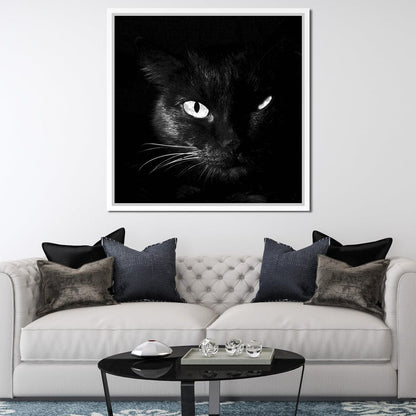 Black and White Cat Canvas Wall Art