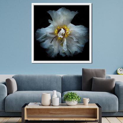 Backyard Flowers Series 4 Canvas Wall Art