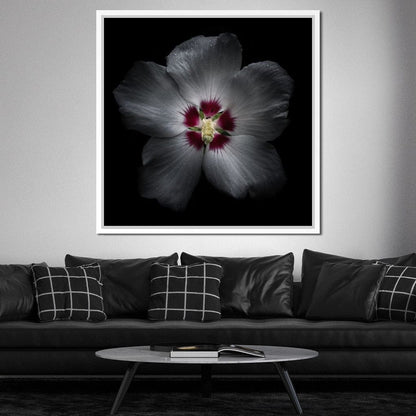 Backyard Flowers Color Version Canvas Wall Art