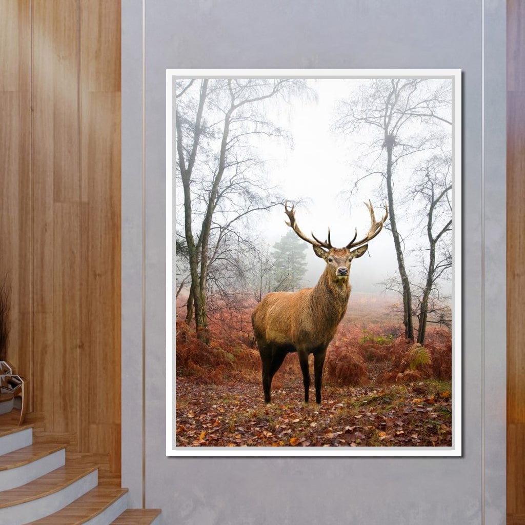 Red Deer Stag Canvas Wall Art