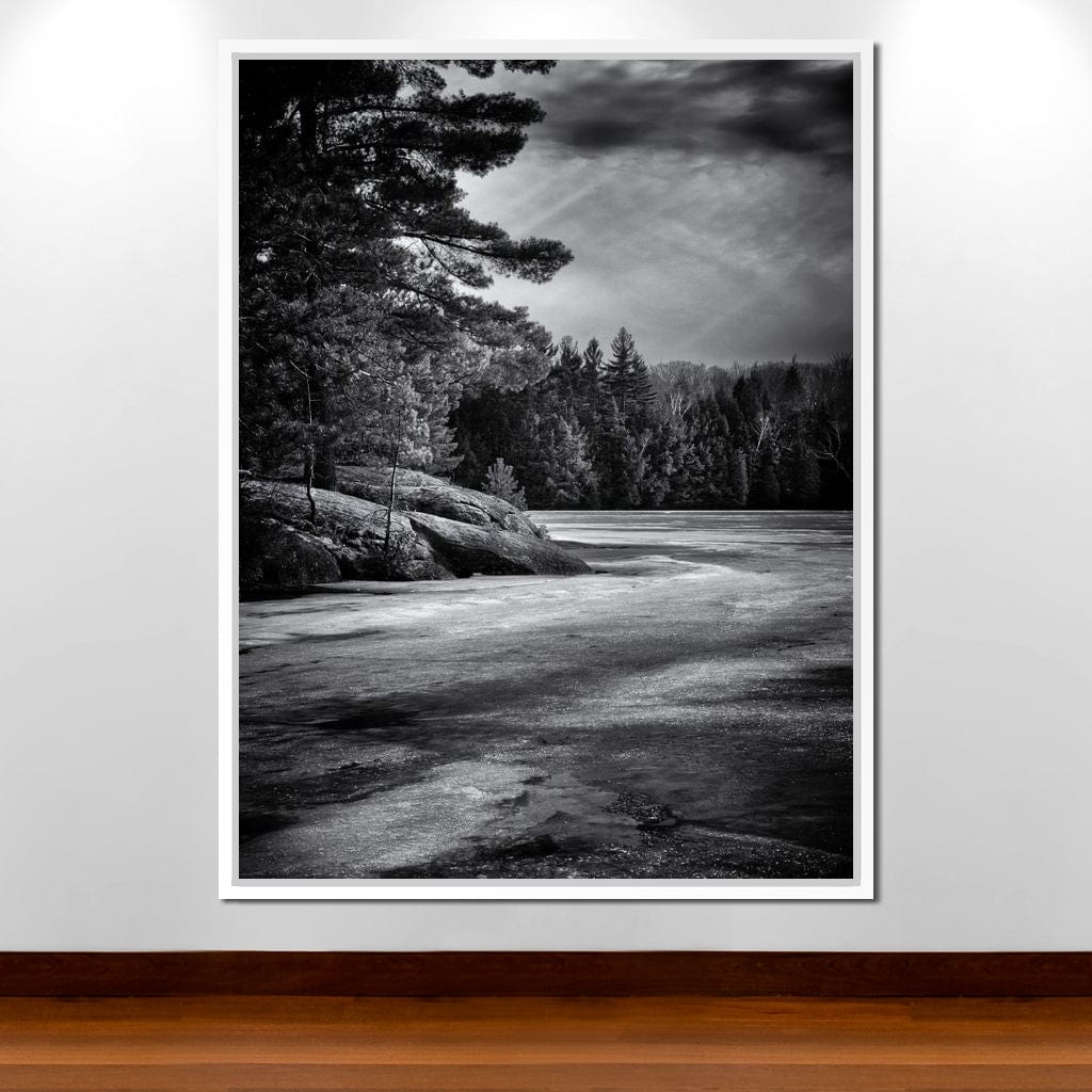 Gullwing Lake Canvas Wall Art