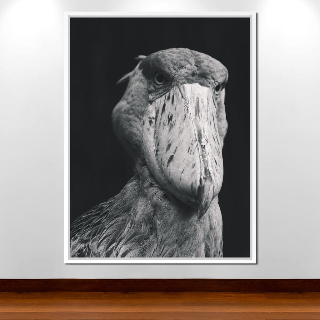 Black and White Shoebill Stork Canvas Wall Art