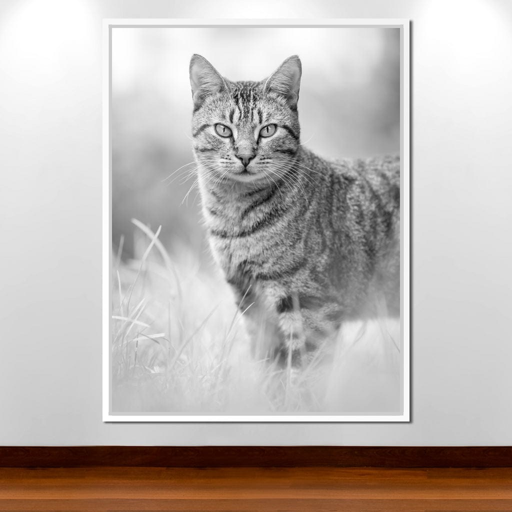 Black & White Kitty Cat Canvas Wall Art