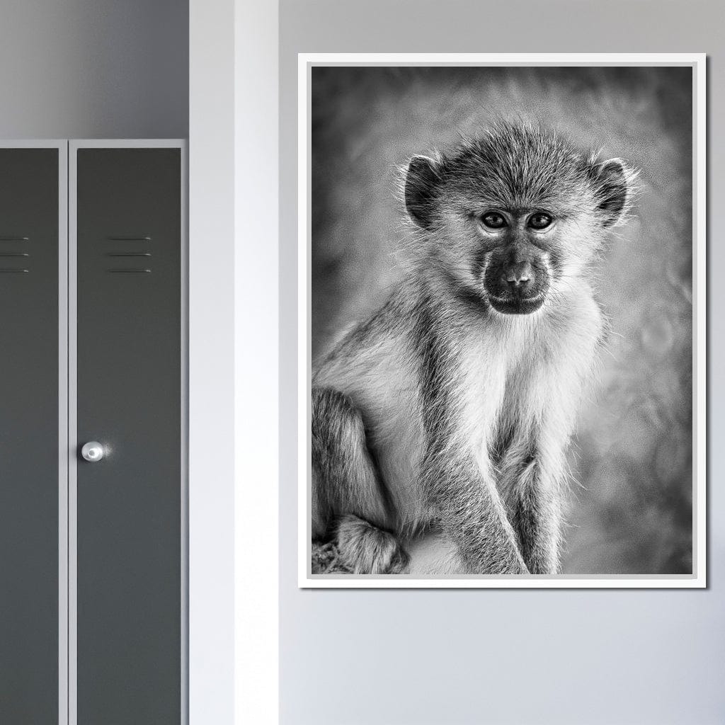 Monkey in Black & White Canvas Wall Art