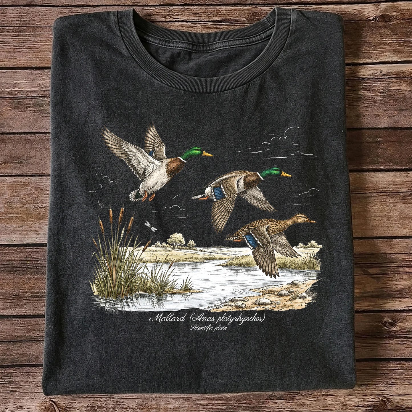 Mallard Anas Platyrhynchos T-Shirt, Vintage Duck Plate