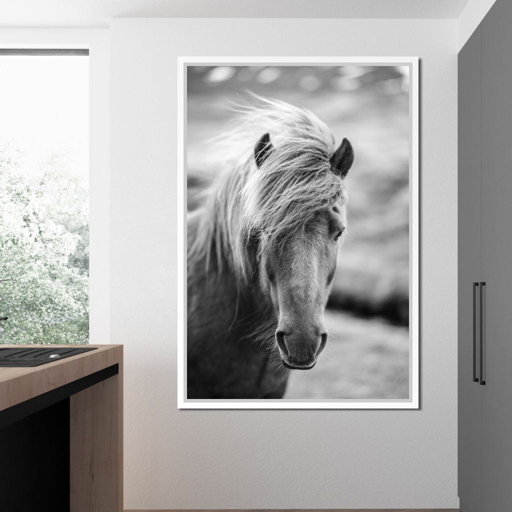 Icelandic Horse Canvas Wall Art