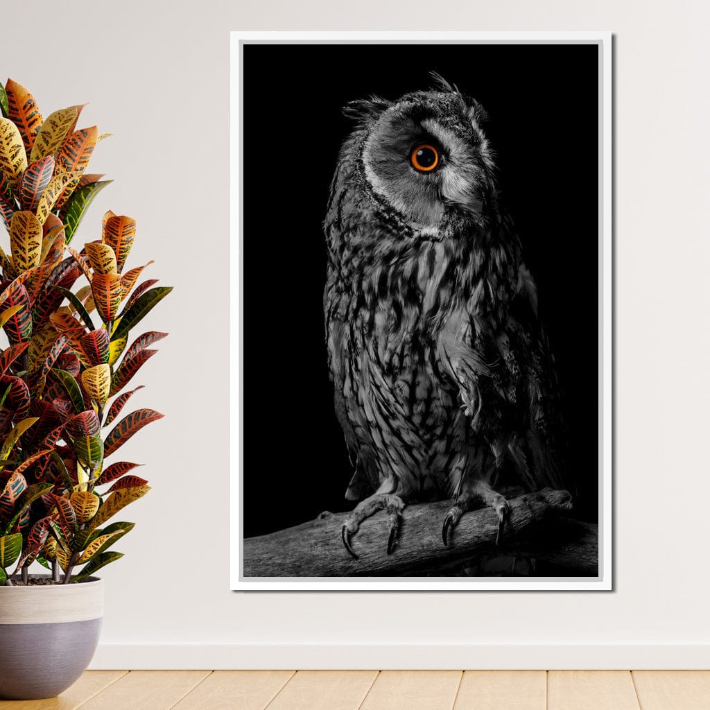 Black & White Owl Canvas Wall Art