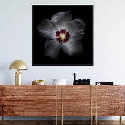 Backyard Flowers Color Version Canvas Wall Art