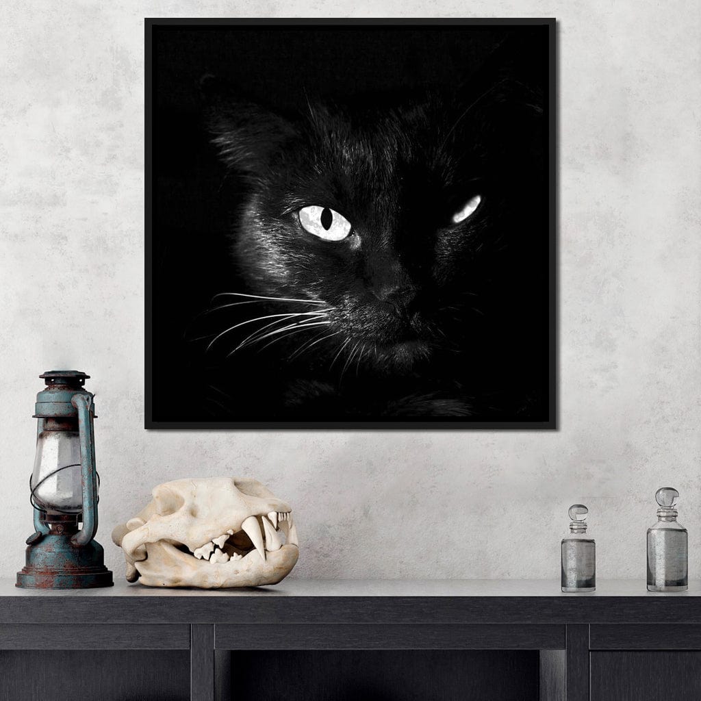 Black and White Cat Canvas Wall Art