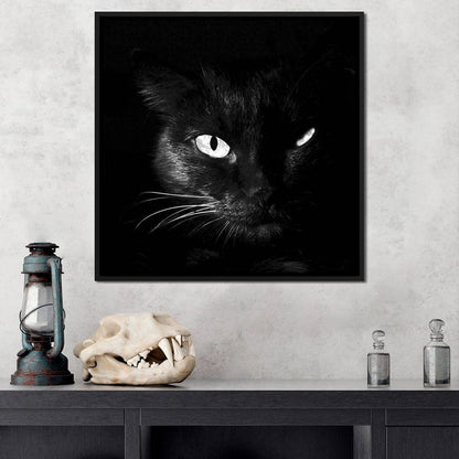 Black and White Cat Canvas Wall Art