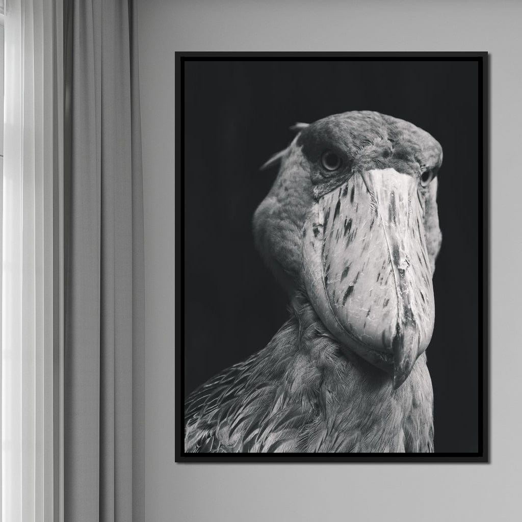 Black and White Shoebill Stork Canvas Wall Art