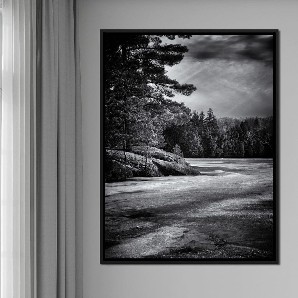 Gullwing Lake Canvas Wall Art
