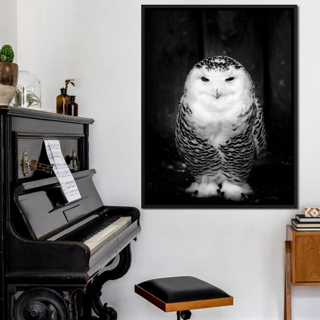 Black and White Snowy Owl Canvas Wall Art