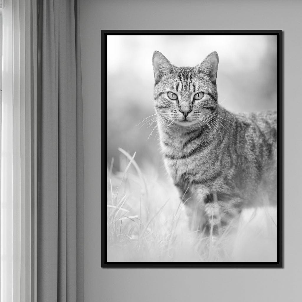 Black & White Kitty Cat Canvas Wall Art