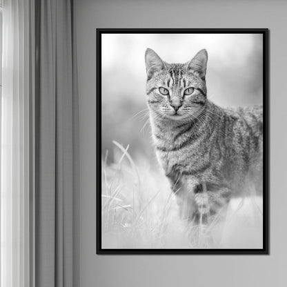 Black & White Kitty Cat Canvas Wall Art
