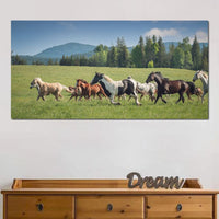 Horses of all Colors Running in a Pasture Canvas Wall Art