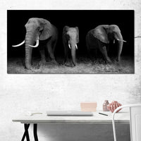 Black and White Elephants Canvas Wall Art