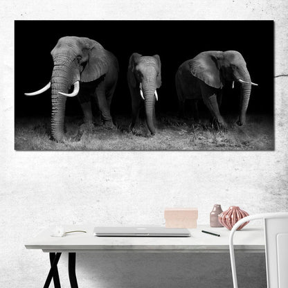Black and White Elephants Canvas Wall Art