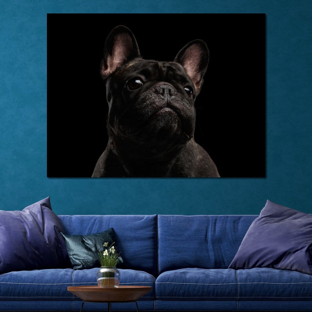 Black French Bulldog Canvas Wall Art